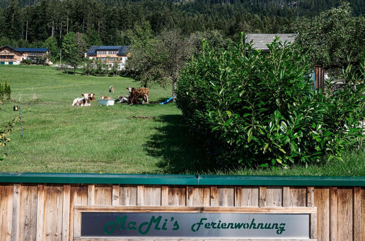 Ferienwohnung Grundlsee, Willkommen In Mami'S Ferienwohnung מראה חיצוני תמונה